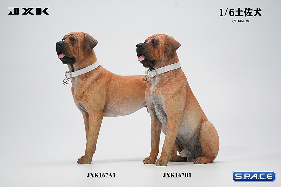 dog scale model