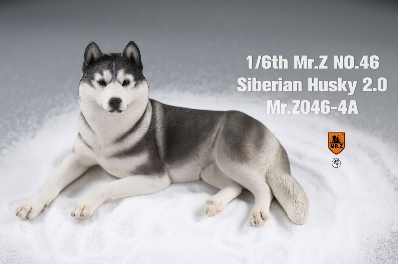 Siberian Husky Dog 2.0 (Black)